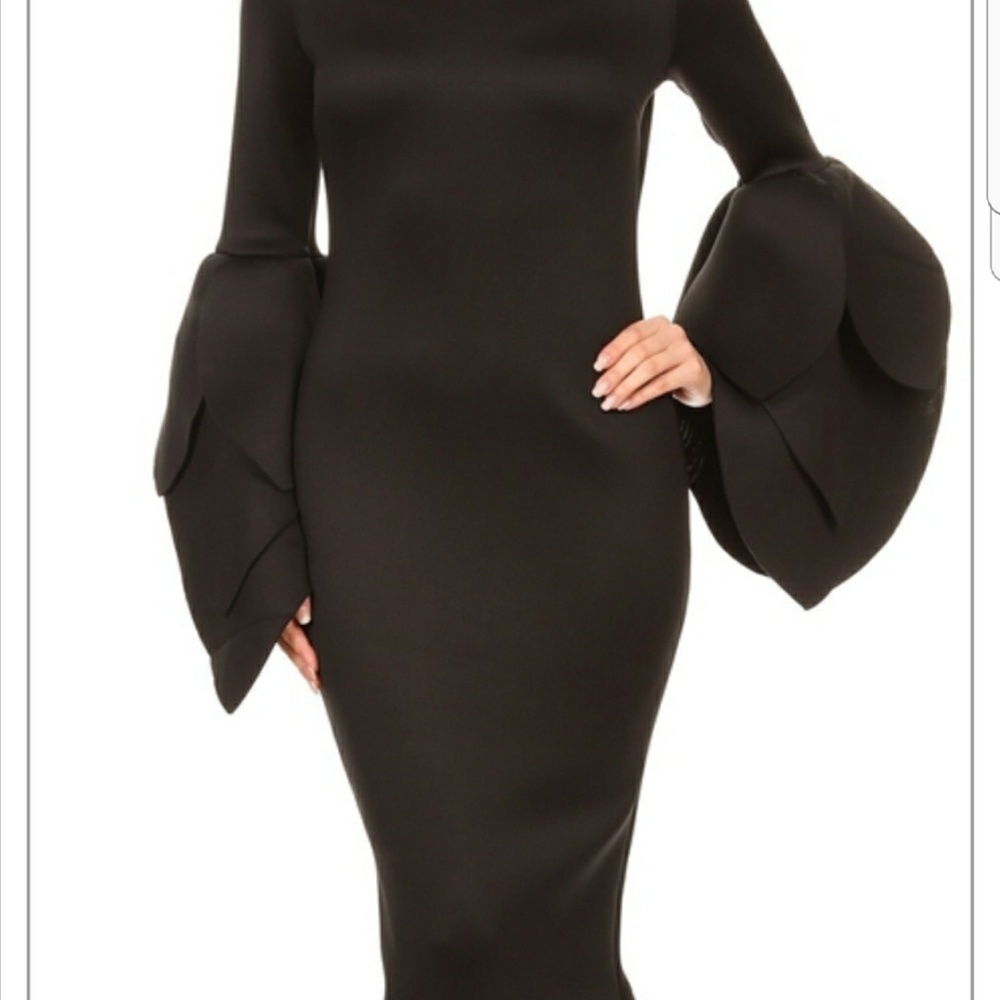 Dress - Picture 2 of 2